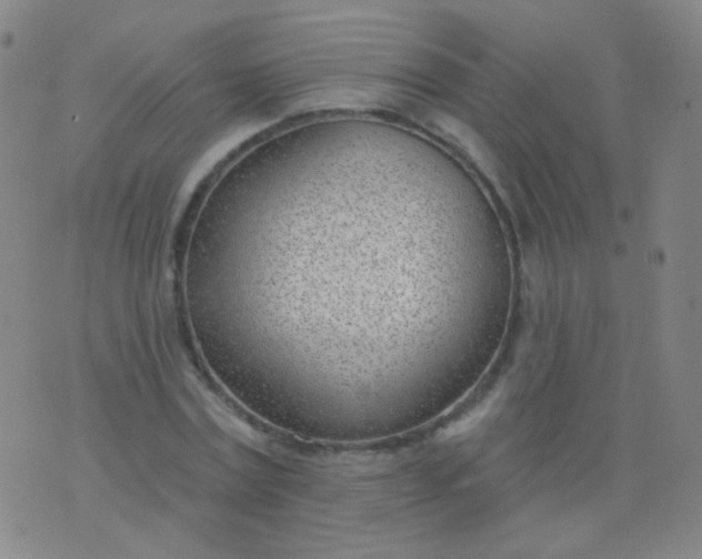 X0000076400779200610202129