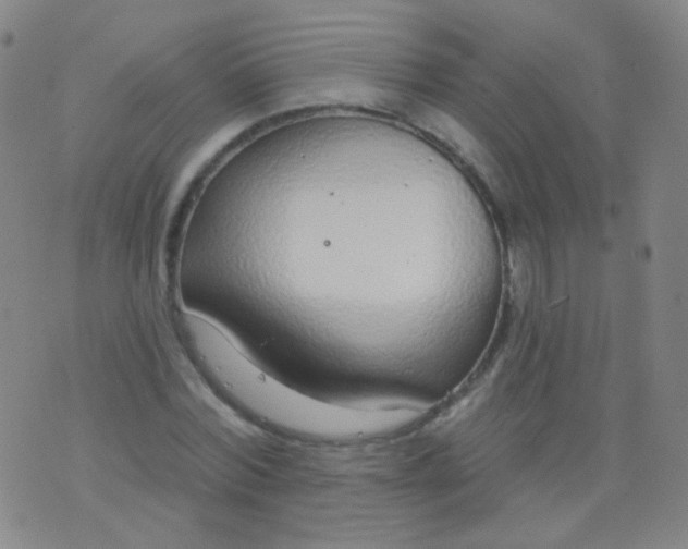 X0000076400780200610202129