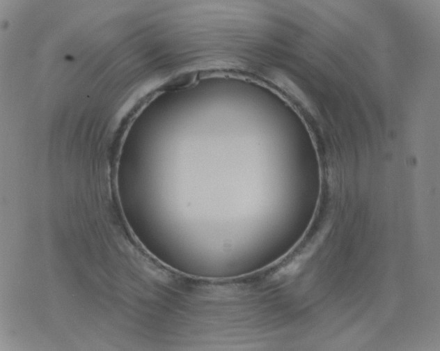 X0000076400781200610202129