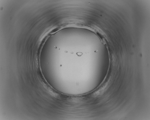 X0000076400782200610202129