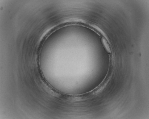 X0000076400783200610202129