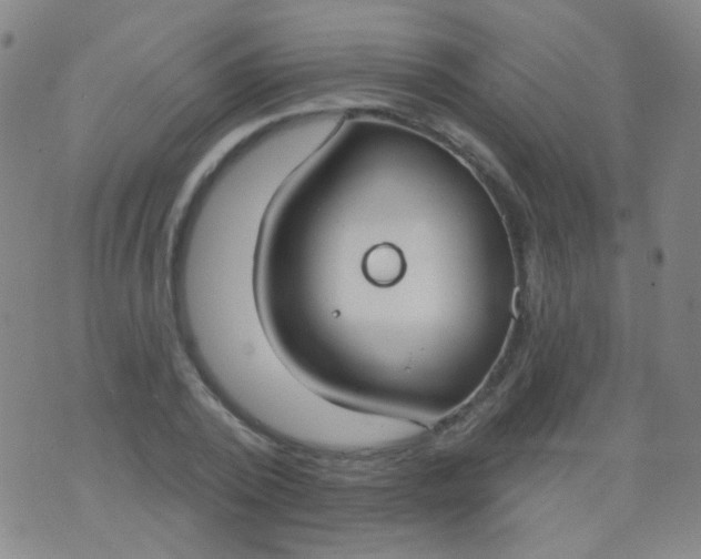 X0000076400784200610202129