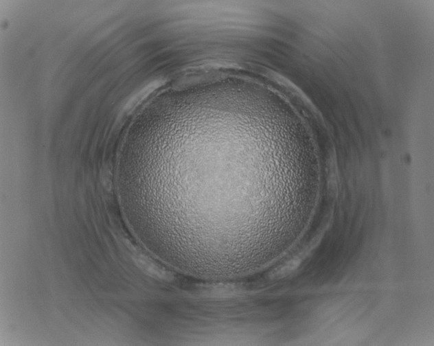 X0000076400785200610202129