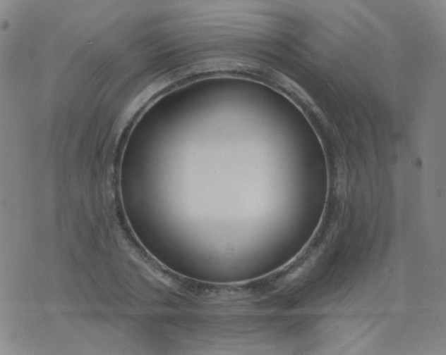 X0000076400786200610202129