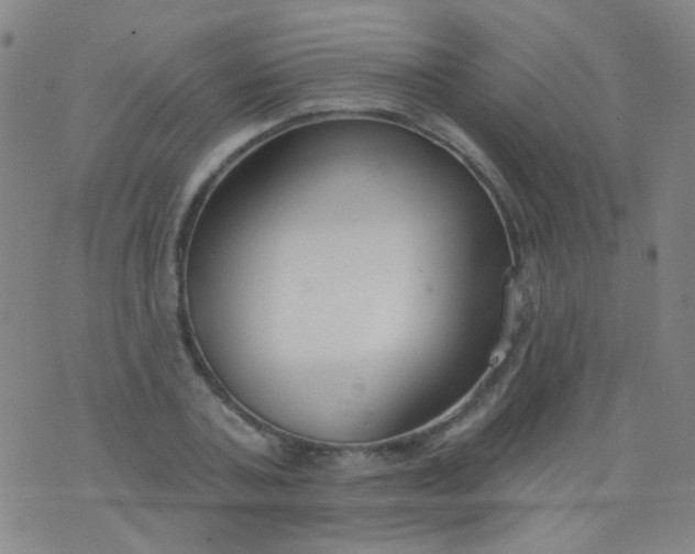 X0000076400787200610202129