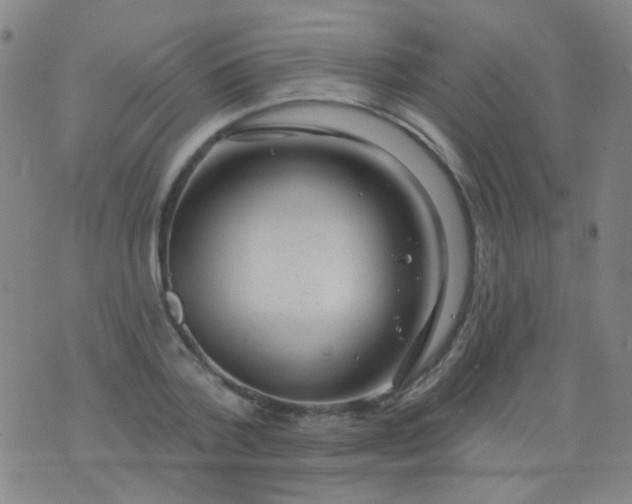 X0000076400788200610202129