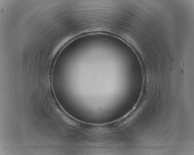 X0000076400789200610202129