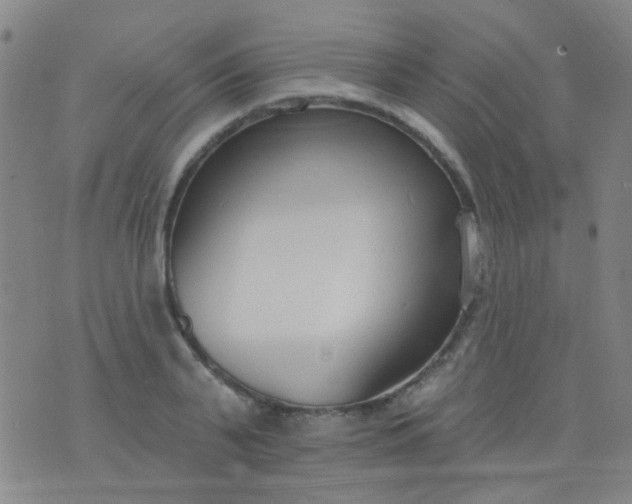 X0000076400791200610202129