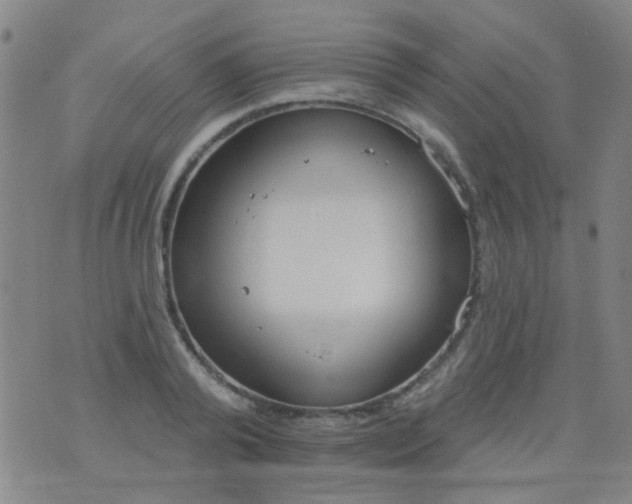 X0000076400792200610202129