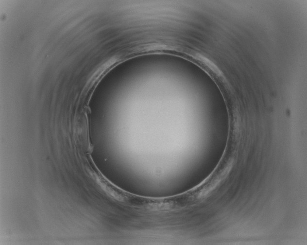 X0000076400793200610202129