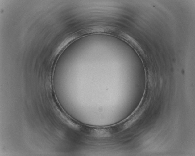 X0000076400794200610202129