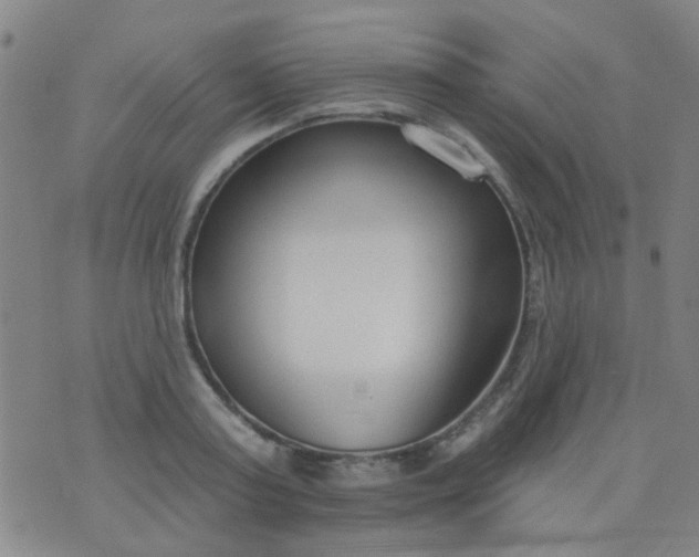 X0000076400795200610202129