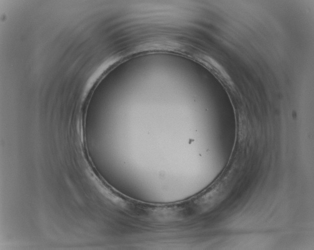 X0000076400796200610202129