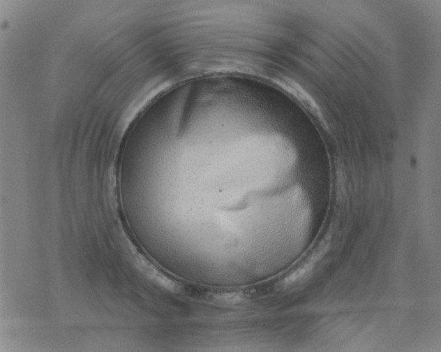 X0000076400798200610202129