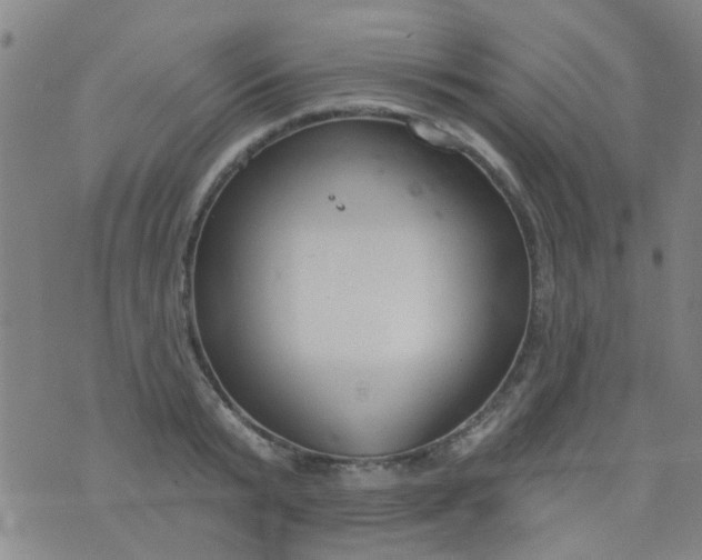 X0000076400799200610202129