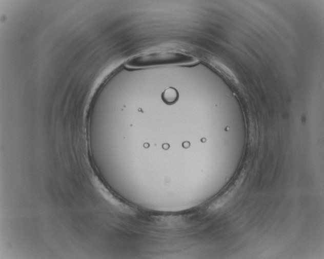 X0000076400800200610202129