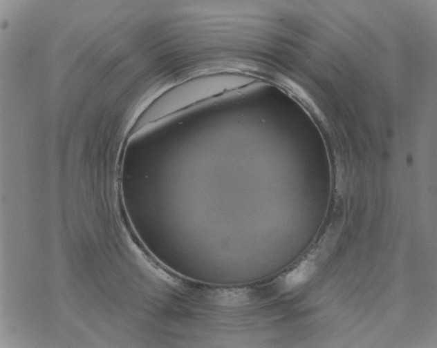 X0000076400802200610202128