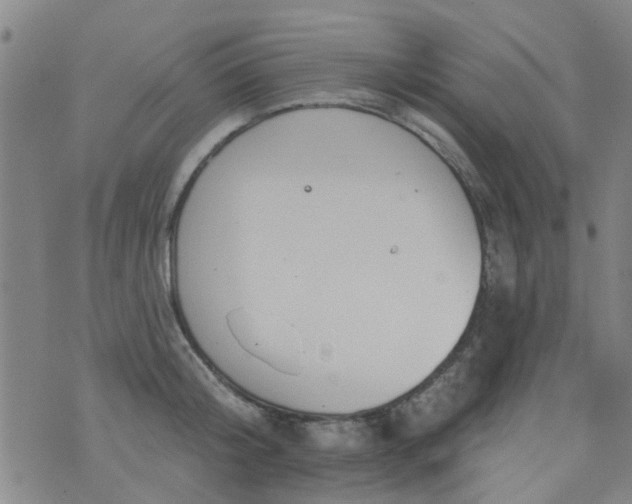 X0000076400804200610202128