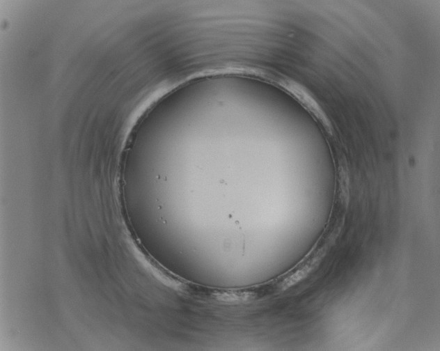 X0000076400805200610202128