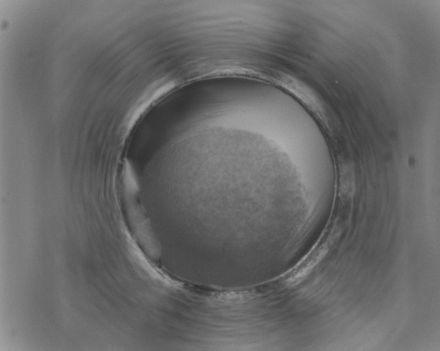 X0000076400806200610202128