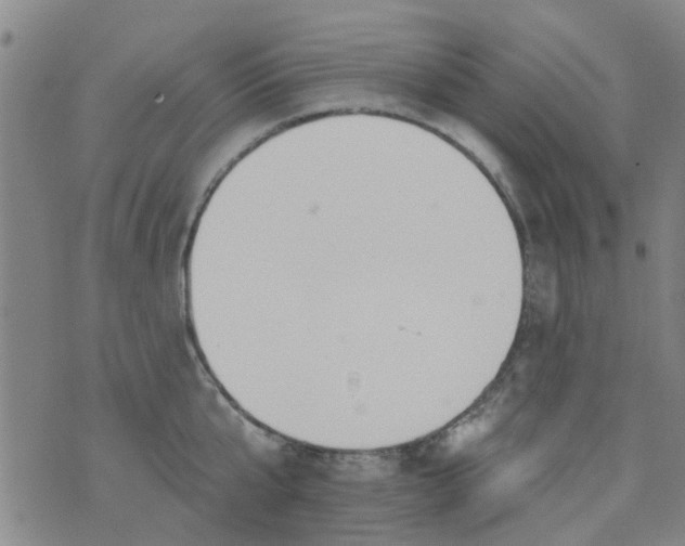 X0000076400807200610202128