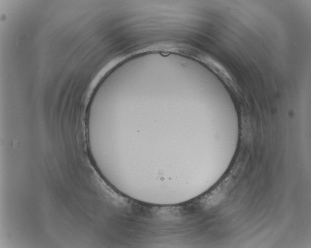 X0000076400808200610202128