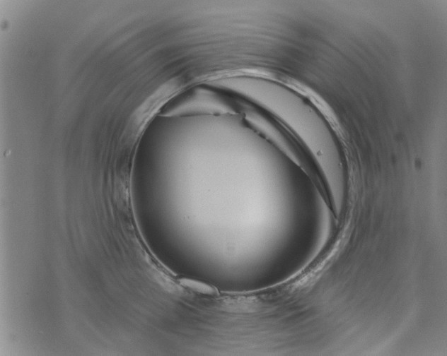 X0000076400809200610202128