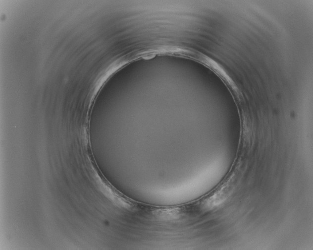 X0000076400810200610202128