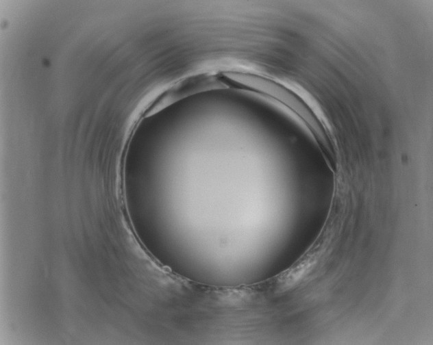 X0000076400815200610202128