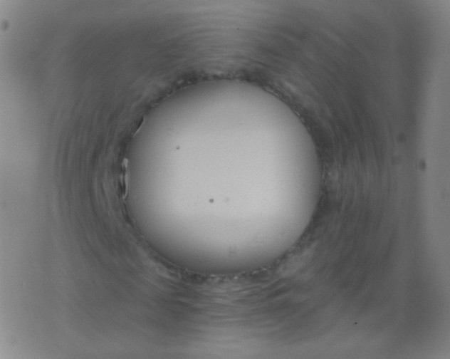 X0000076400817200610202127