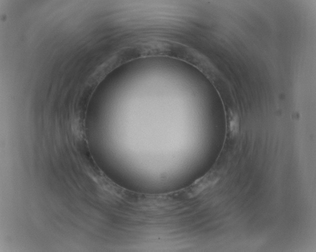 X0000076400819200610202127