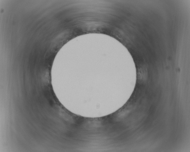 X0000076400820200610202128