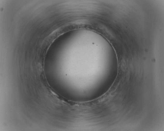 X0000076400821200610202128