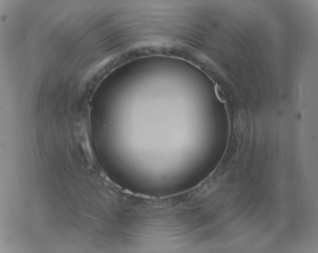 X0000076400822200610202128