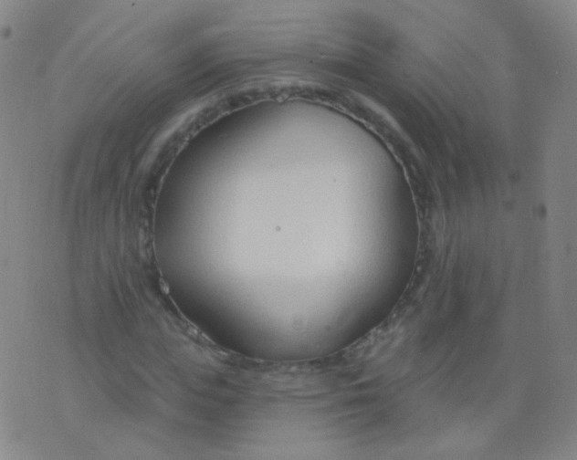 X0000076400823200610202128