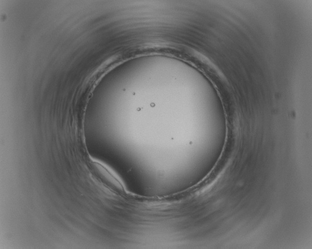 X0000076400825200610202128