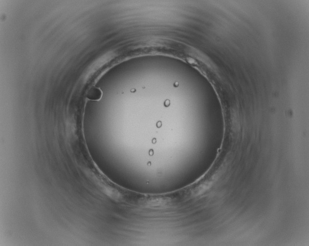 X0000076400826200610202128