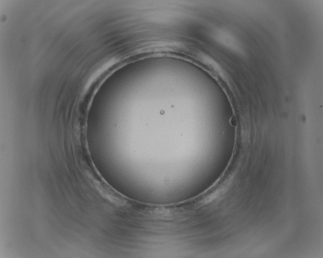 X0000076400827200610202128