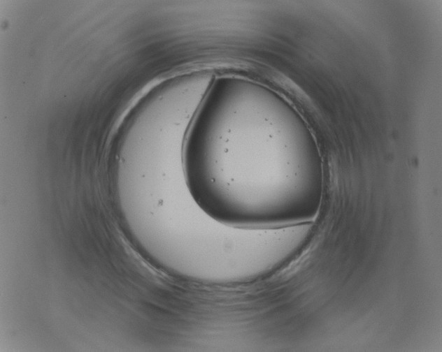 X0000076400828200610202128