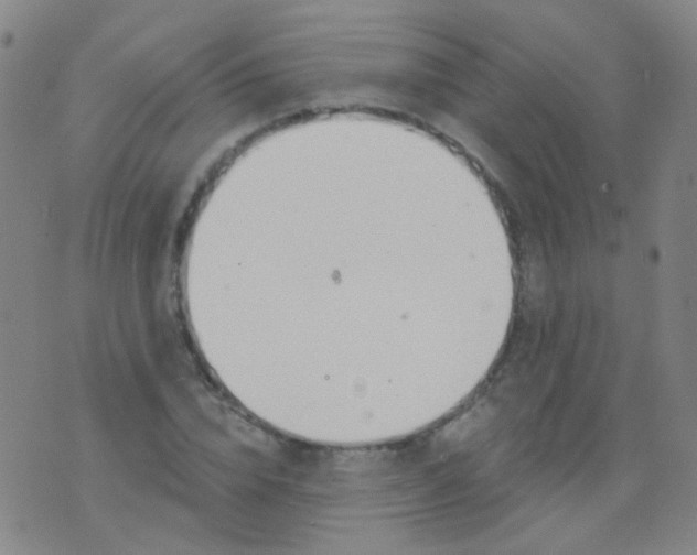 X0000076400832200610202128