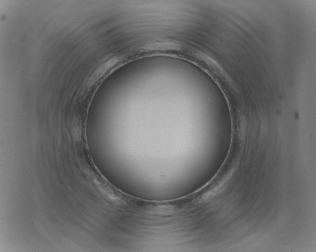 X0000076400833200610202128