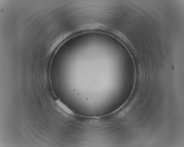 X0000076400834200610202128