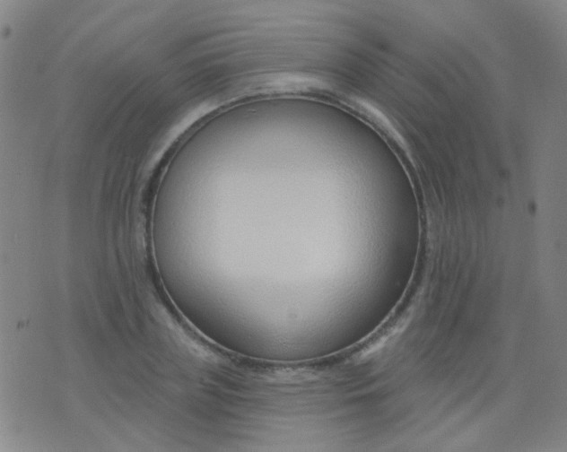 X0000076400835200610202128