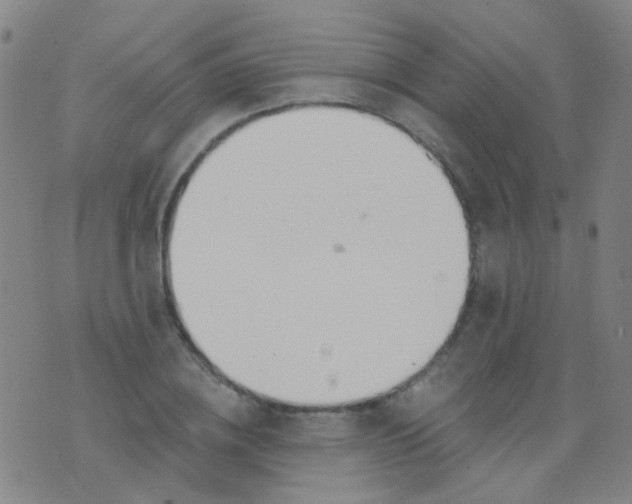 X0000076400836200610202128