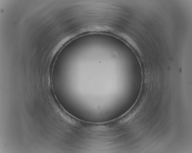 X0000076400837200610202128