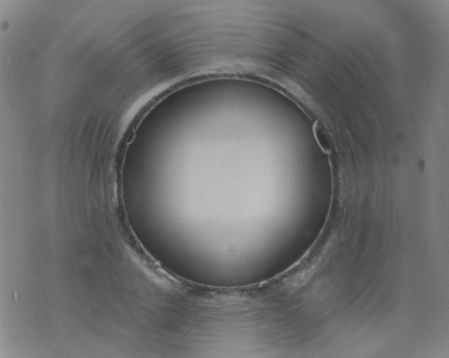 X0000076400838200610202128