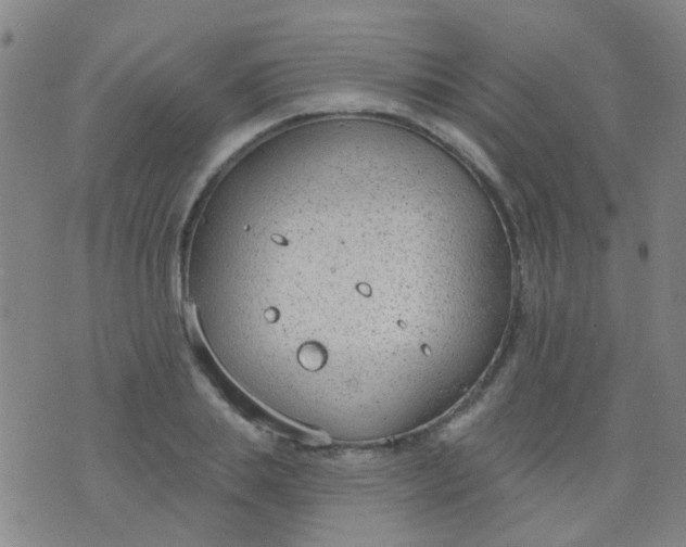 X0000076400839200610202128