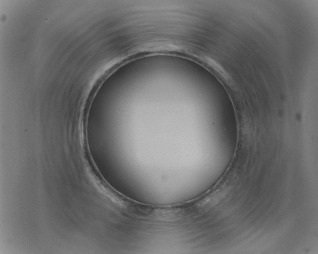 X0000076400840200610202128