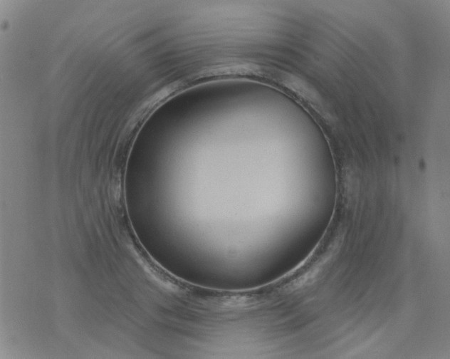 X0000076400841200610202128