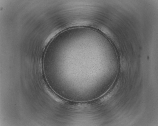 X0000076400842200610202128